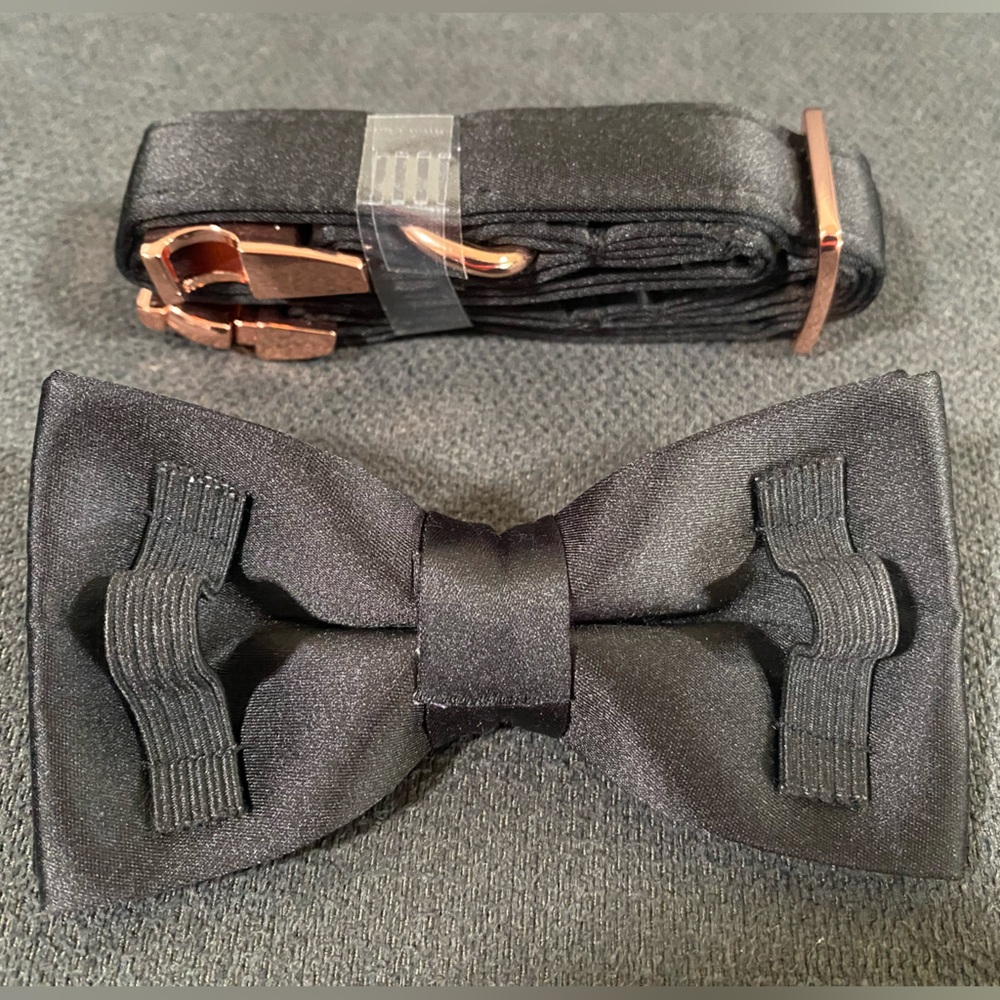 ⭐️New Unique style paws Dog Collar, Black Silk Dog Collar with Bow - Picture 9 of 16